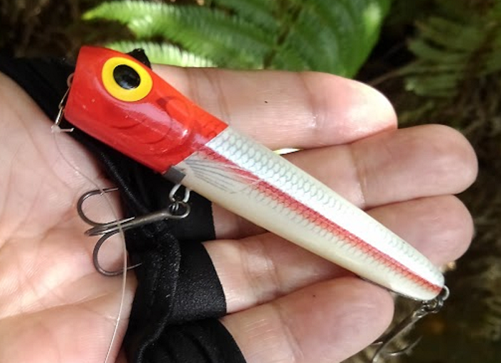ルアーのアップ写真
