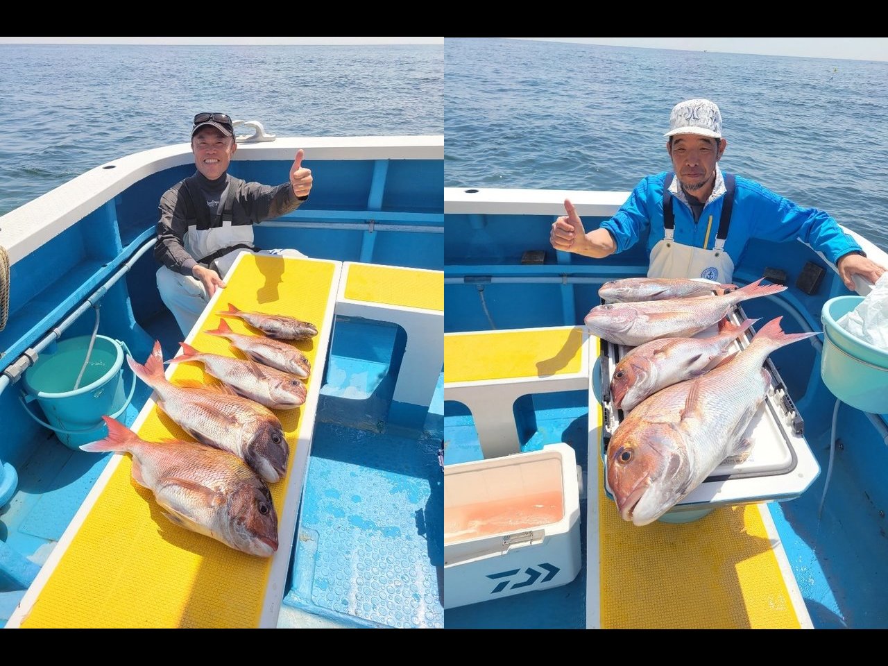 【釣果速報】神奈川県成銀丸でマダイ・メジナ・クロダイと人気魚種続々ゲット！いろいろな魚との出会いを楽しみたい人は即予約を！