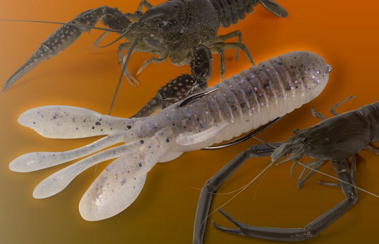 ワームのアップ写真