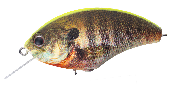 ルアーのアップ写真