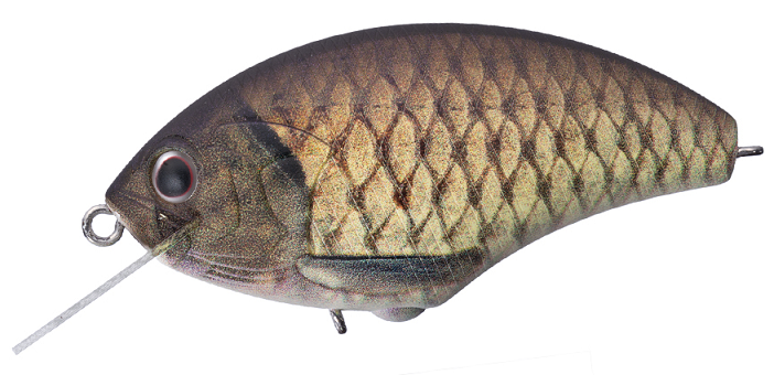 ルアーのアップ写真