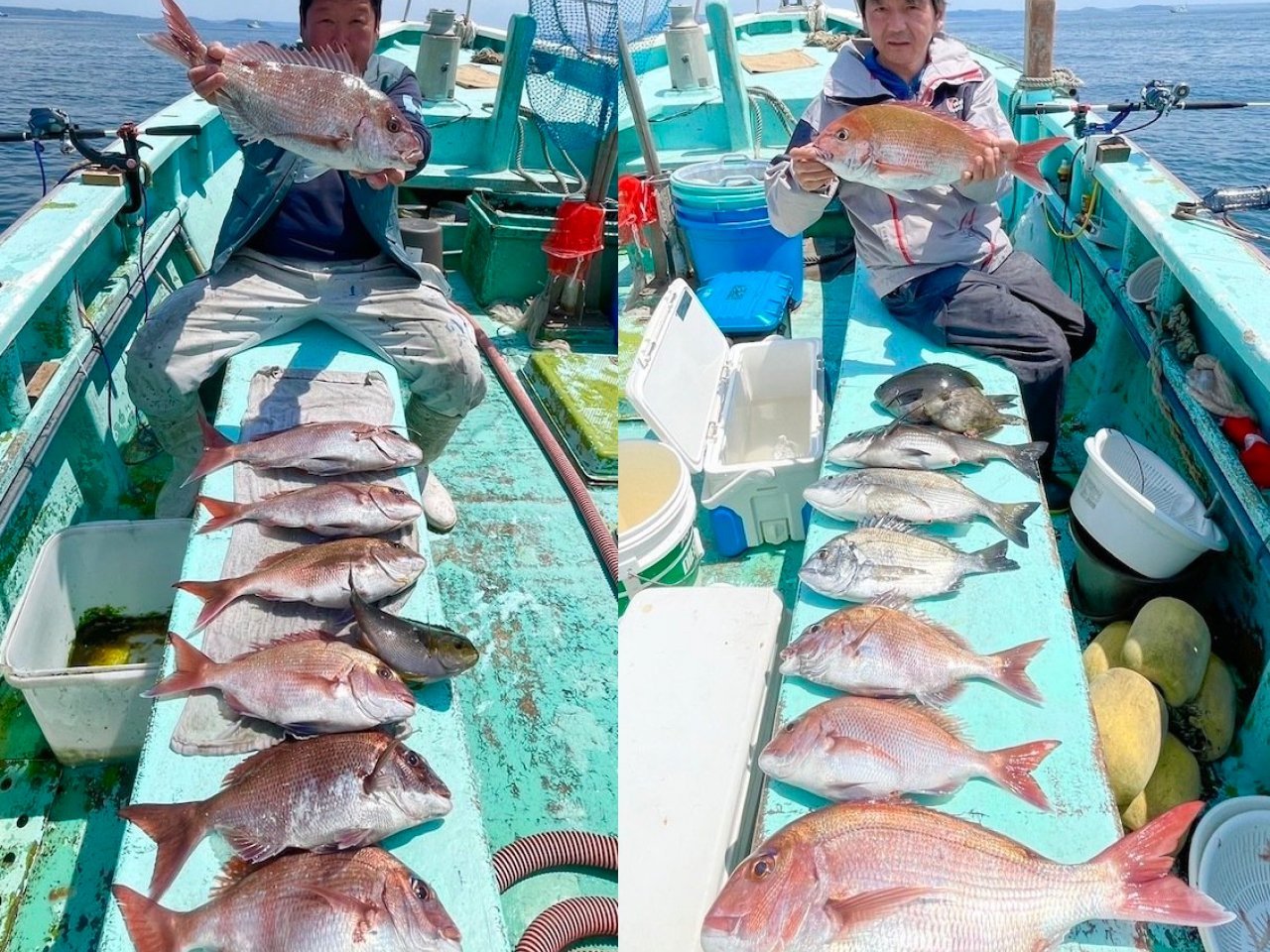 【釣果速報】神奈川県あまさけや丸でマダイ・クロダイ・メジナと人気魚種続々ゲット!いろいろな魚との出会いを楽しみたい人は即予約を!