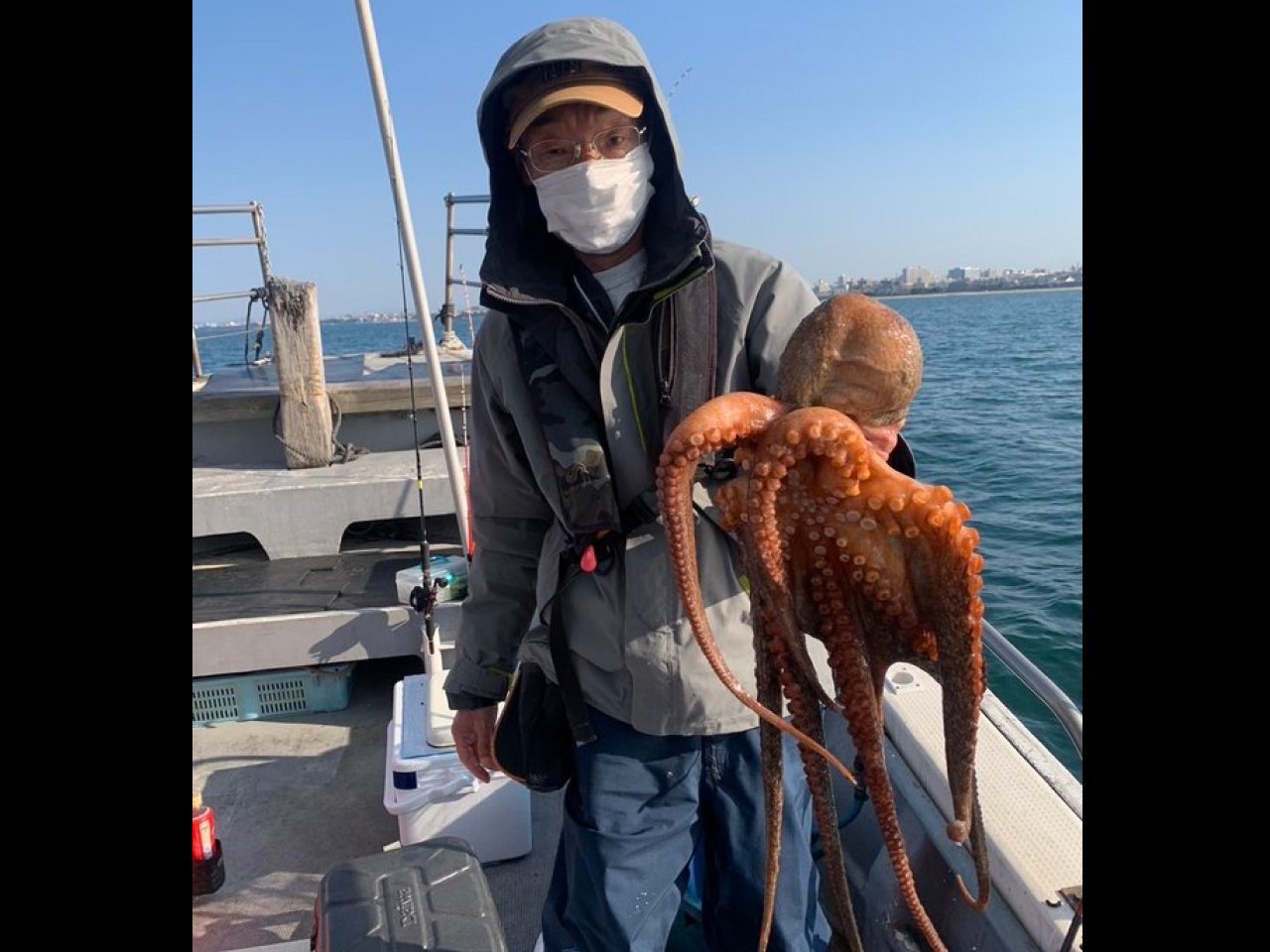 【釣果速報】3kg、2.7kg、2.0kgと大ダコ揃い!兵庫県釣り船 福三郎で記録級のマダコを釣ろう!