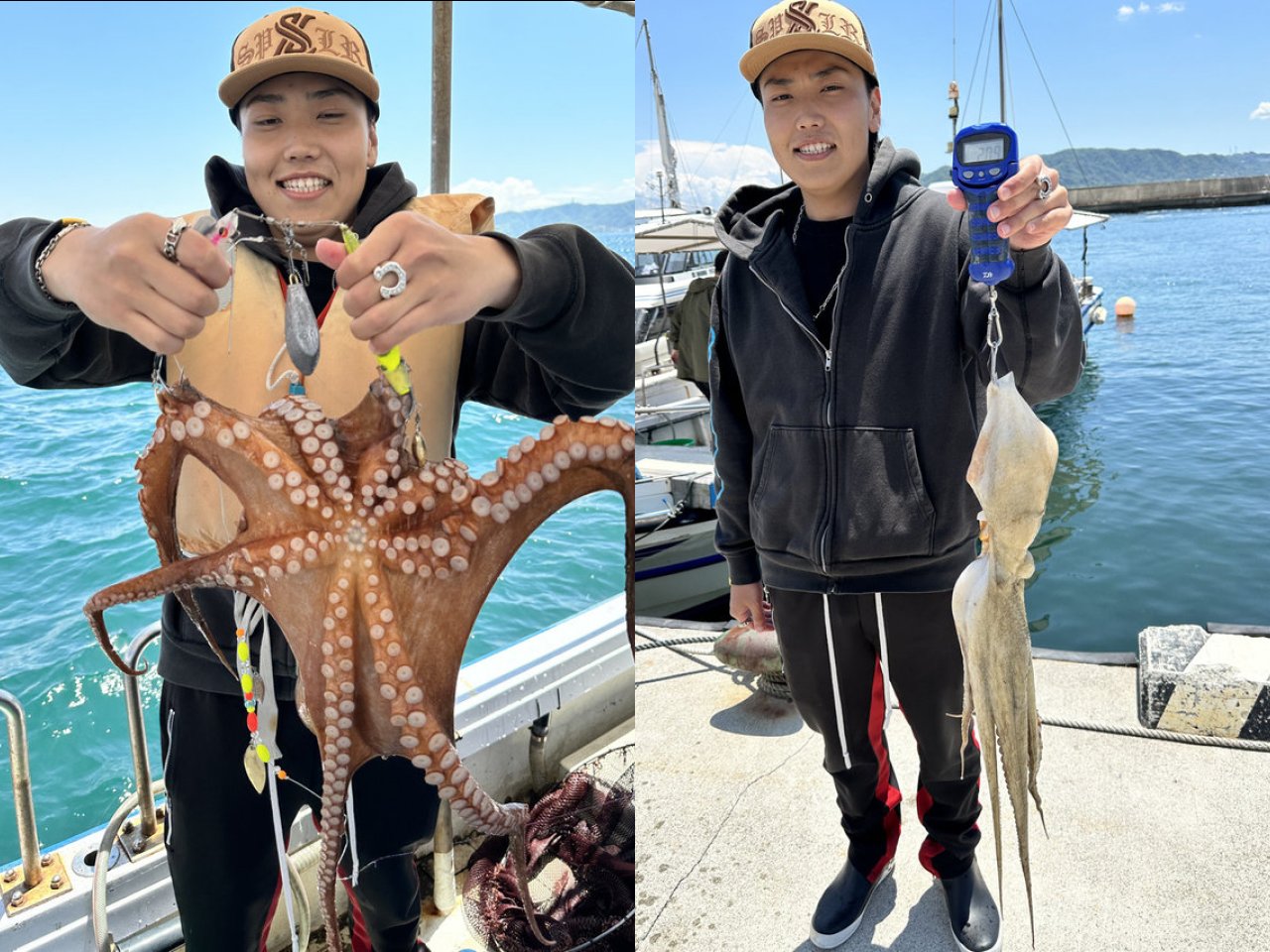 【釣果速報】兵庫県釣り船角田でダイナミックな2.09kgマダコをキャッチ!好調な今、良型を狙いに行こう!