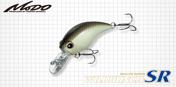 ルアーのアップ写真