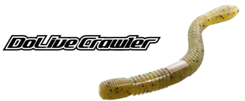 ワームのアップ写真