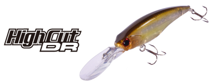 ルアーのアップ写真