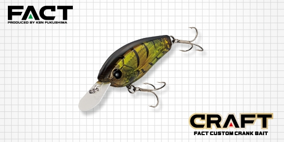 ルアーのアップ写真