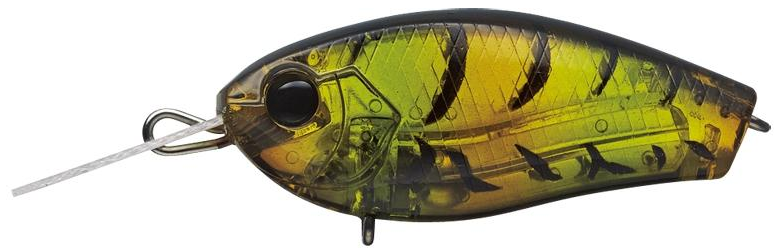 ルアーのアップ写真