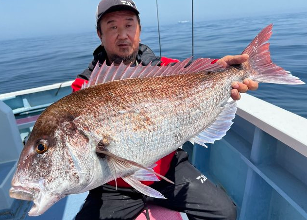 魚のアップ写真
