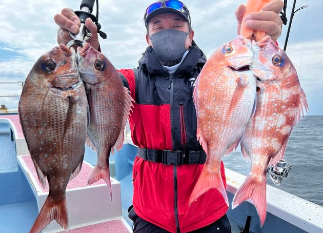 魚のアップ写真