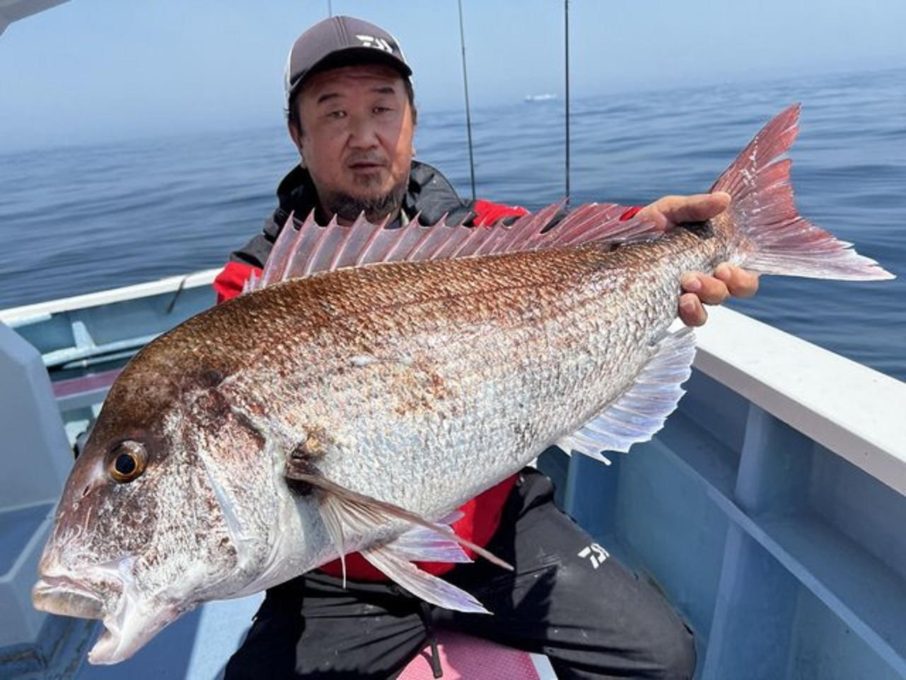 【釣果速報】6.0kgの特大マダイが千葉県梅花丸で上がる!次のビッグドリームを掴むのはあなた!