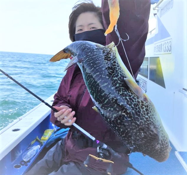 魚のアップ写真