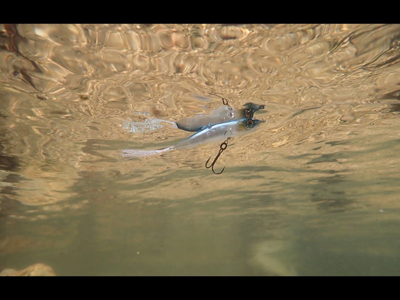 【新製品速報】イマカツからアイアロー50が発売開始！