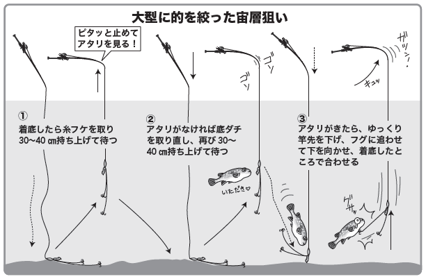 茨城の尺オーバーフグを狙え！おすすめタックルから釣り方のコツまで大