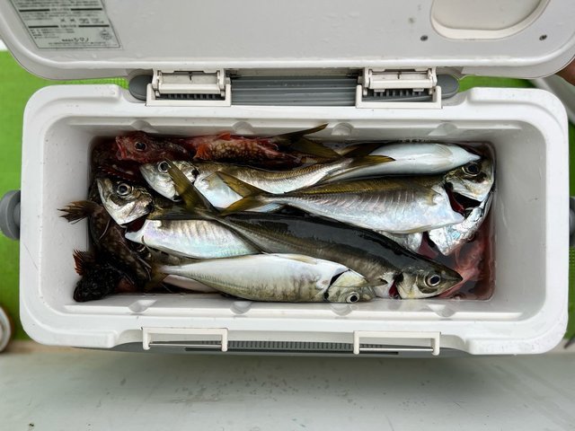 釣果