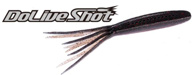 ワームのアップ写真