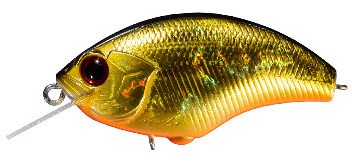 ルアーのアップ写真