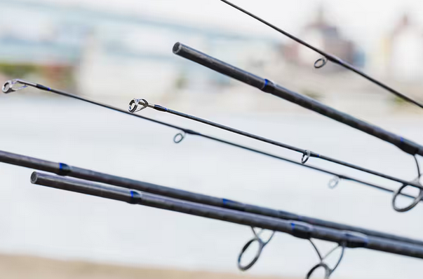 ロッドのアップ写真