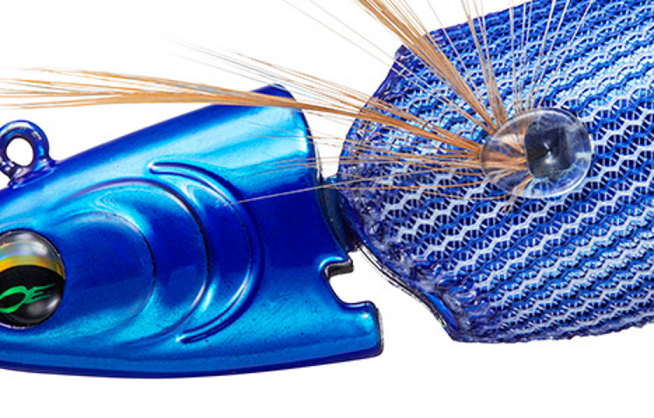 エギのアップ写真