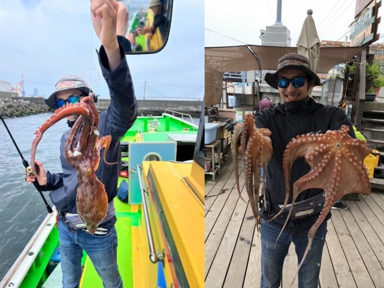 【釣果速報】神奈川県荒川屋でダイナミックな2.4kgマダコをキャッチ！好調な今、良型を狙いに行こう！