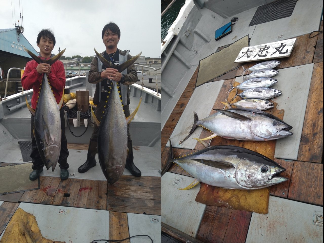 【釣果速報】三重県大忠丸でキハダマグロとの熱い戦いが何度も繰り広げられる！36kgサイズをゲット！