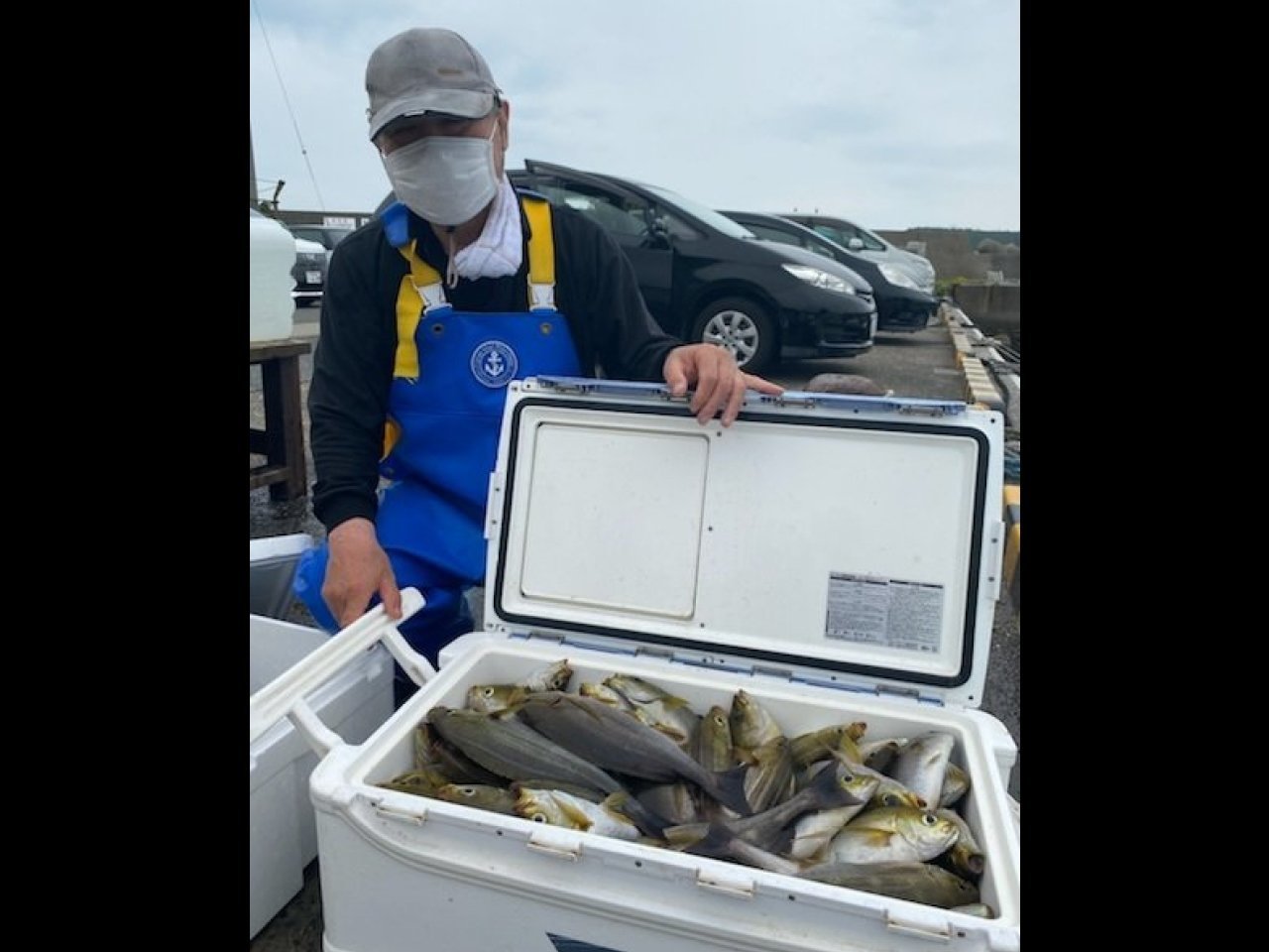 【釣果速報】千葉県宝生丸で空前絶後のイサキラッシュ!アジも好調でほぼ全員がクーラー満タン!