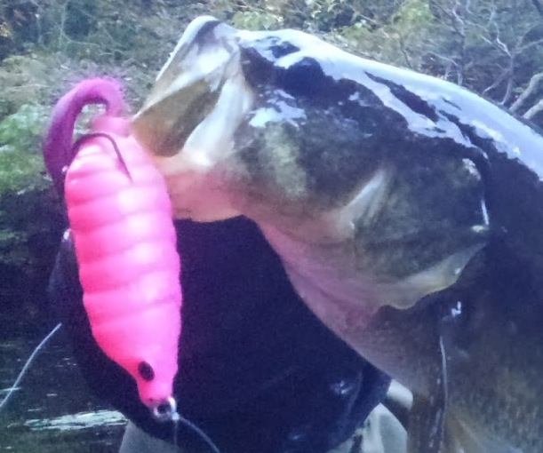 魚とルアーのアップ写真