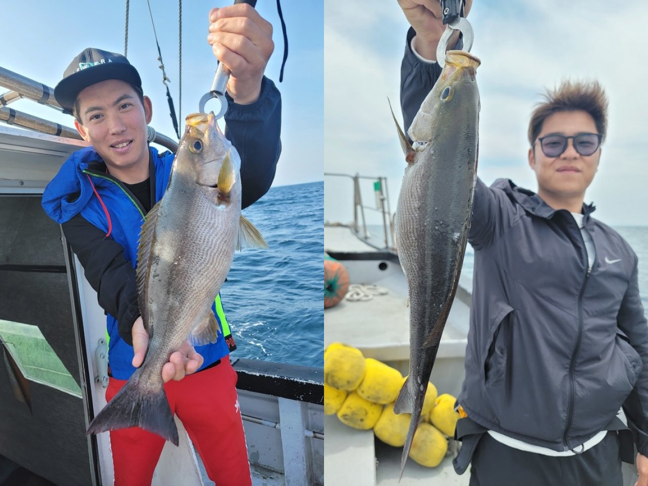 【釣果速報】福岡県Happiness Ⅵでイサキ竿頭14匹の好釣果！スペシャルゲストは2kgサイズのマダイ！