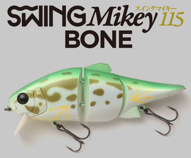 ルアーのアップ写真