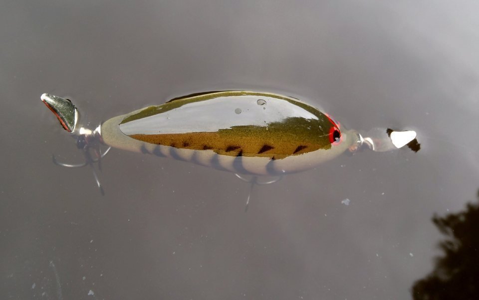 バス釣り 見えバス 釣り方 トップウォータープラグ ルアー