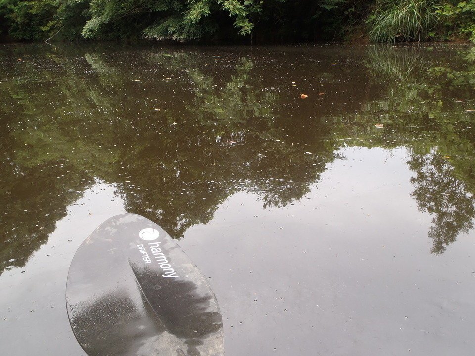 バス釣り　見えバス　釣り方　バス　バスフィッシング　釣り場