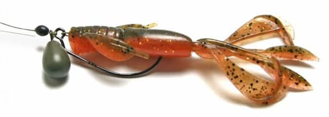 ワームのアップ写真