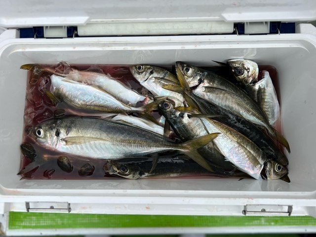 釣果
