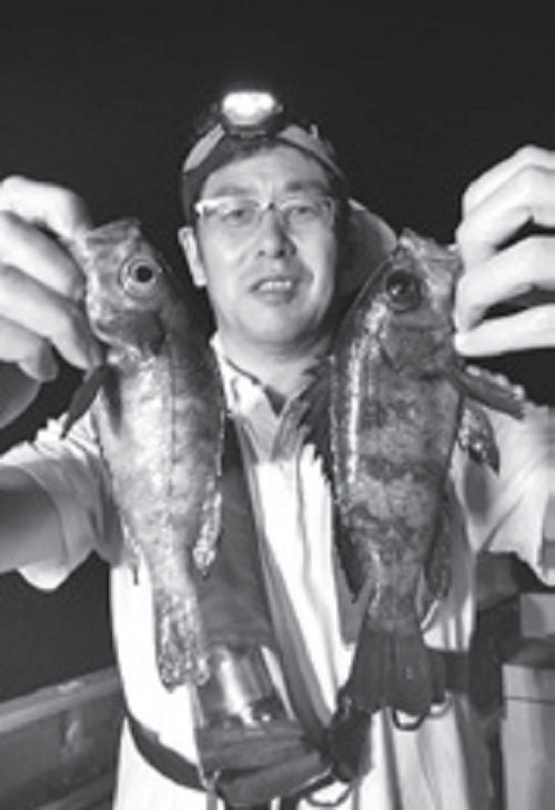 週末夜釣りのリレー船！東京湾のアジ・メバル（忠彦丸／東京湾奥金沢漁港）