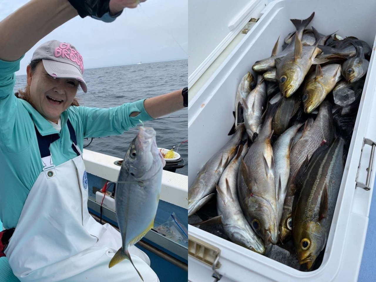 【釣果速報】千葉県松栄丸で朝からイサキ好調！竿頭は30匹！今なら一日中数釣りが楽しめます！