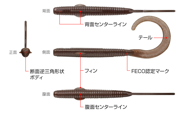 ワームのアップ写真