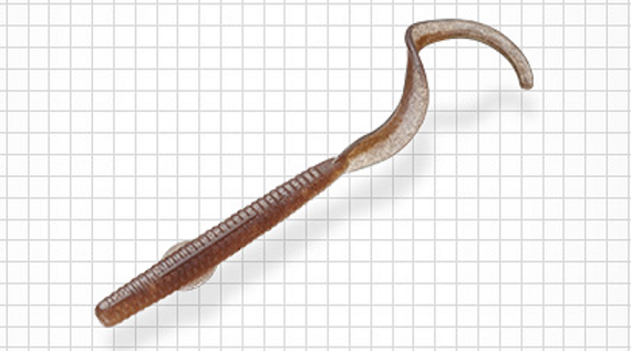 ワームのアップ写真