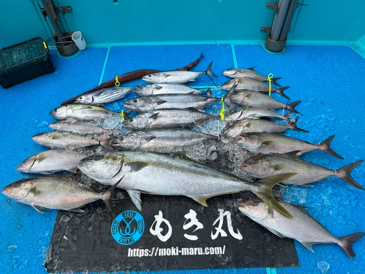 【釣果速報】静岡県もき丸でカンパチ全員ゲット達成!良型ヒラマサ&ハガツオ大漁で大満足の釣果に!乗船するなら今でしょ!