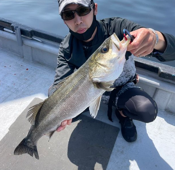 魚のアップ写真