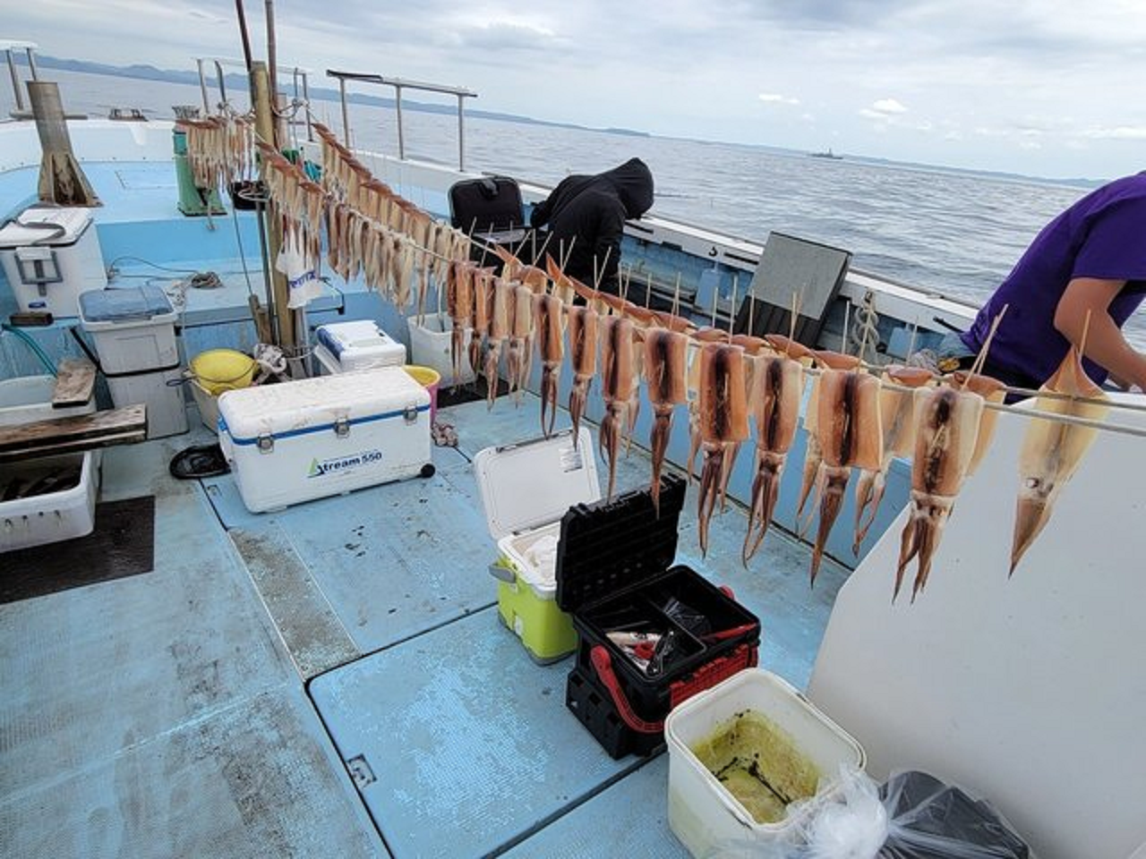 【釣果速報】神奈川県春盛丸で大人気のスルメイカ豊漁!今後活躍間違いなしの仕掛けを船長がこっそり伝授!