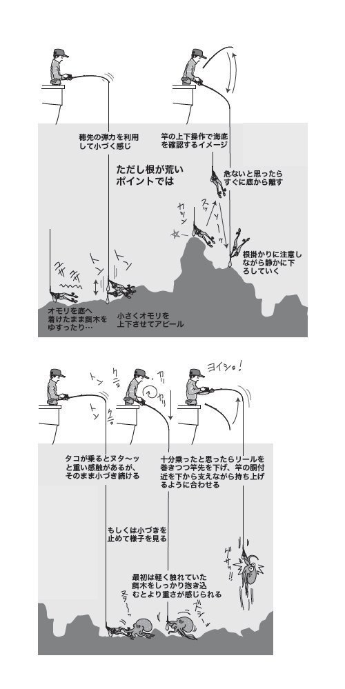 関東の餌木タコのツボを押さえる！タックル・釣り方を完全ナビゲート！