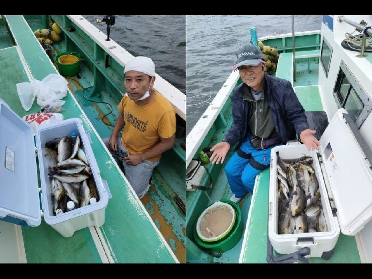 【釣果速報】神奈川県棒面丸でイサキ好調！竿頭は125匹！今なら一日中数釣りが楽しめます！