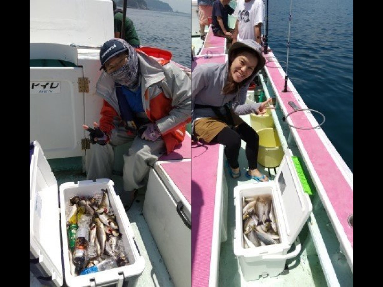 【釣果速報】千葉県東丸でイサキ・マアジ好調!イサキ竿頭は50匹!今なら一日中数釣りが楽しめます!