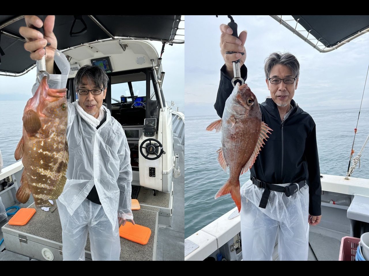 【釣果速報】大阪府JACKでマダイ・アジ好調!アコウ・グチも!サメまで掛かるほどゲストも豊富!この勢いをぜひ現地で体感せよ!