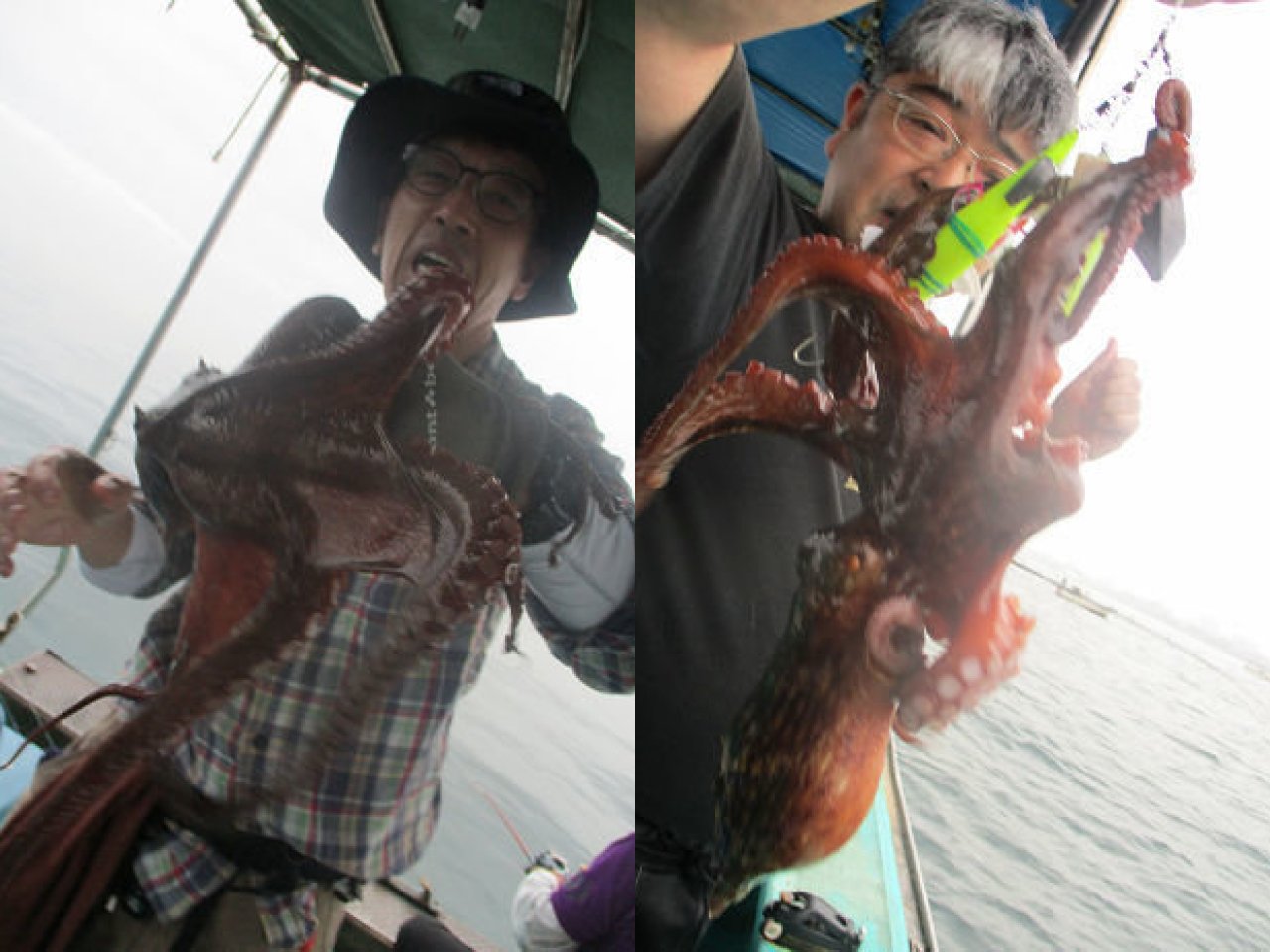 【釣果速報】3.0kgのモンスターマダコ確保!兵庫県釣り船 名田屋の船長が厳選するポイントで記録更新マダコを釣ろう!