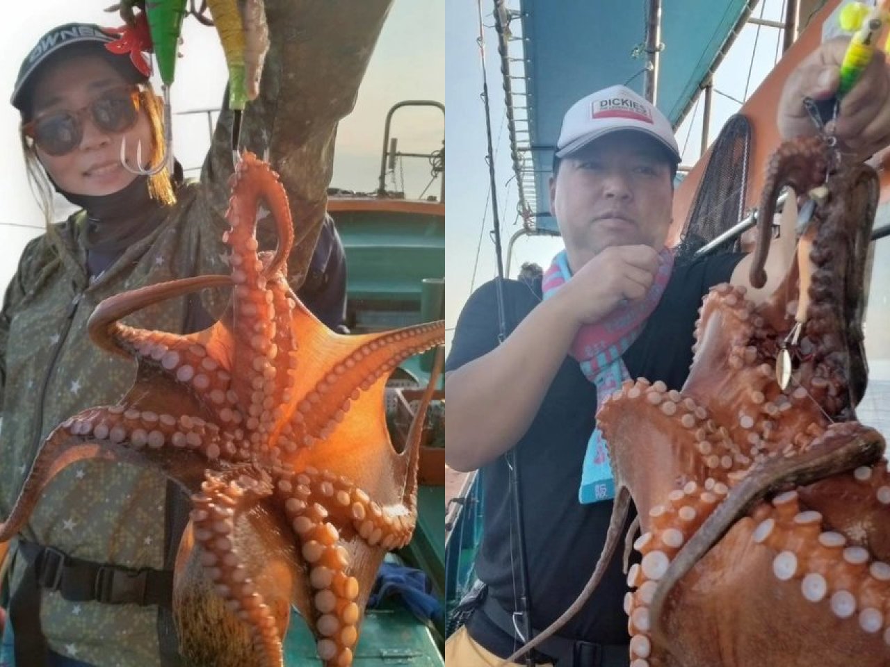 【釣果速報】兵庫県海蓮丸でマダコ全員ゲット達成！1.5kgの良型タコも登場！この夏はタコ釣行に挑戦しませんか？