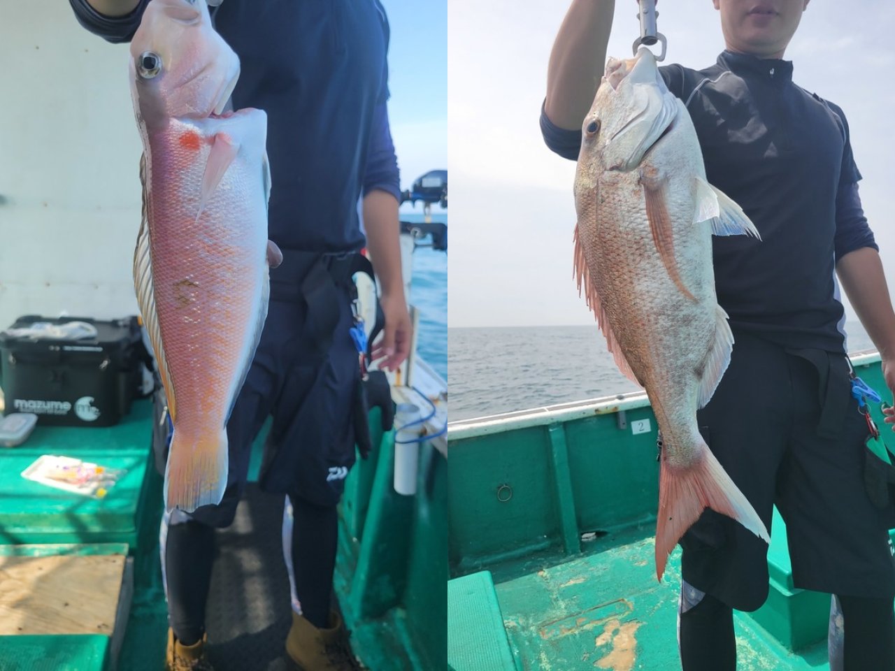 【釣果速報】“幻の甘鯛”ことシロアマダイがヒット！合計5匹をキャッチ！和歌山県清風丸で超高級魚に出会おう！