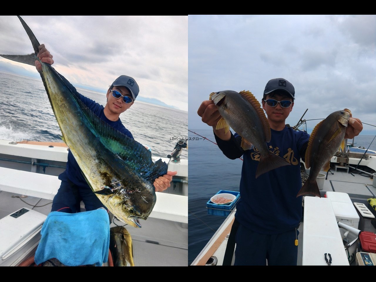 【釣果速報】シイラのヒット＆キャッチ連発！メーターオーバーとの熱いファイトも！静岡県昌福丸で心躍る冒険に繰り出そう！