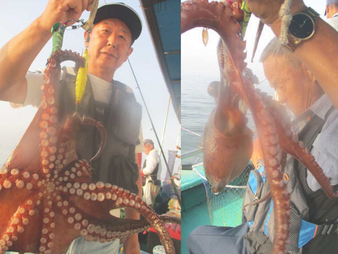 【釣果速報】兵庫県釣り船 名田屋でマダコ順調に上がる！合計10匹以上ゲット！キロオーバーの良型も交じり好調！